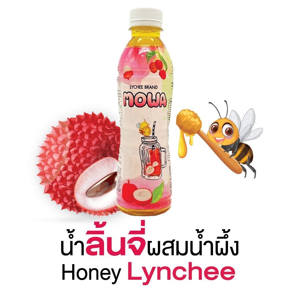 FRUIT JUICE DRINK - MOWA BRAND