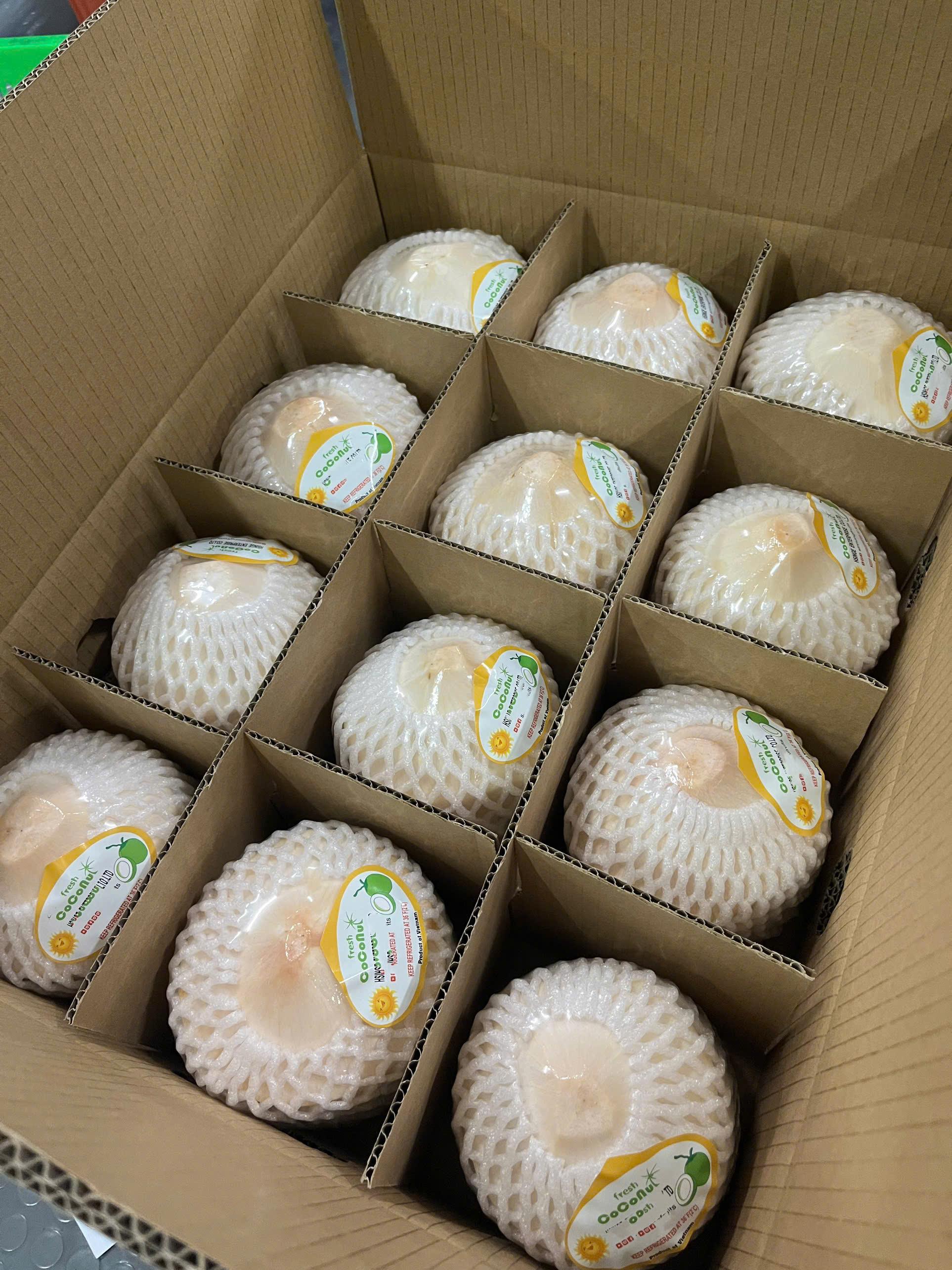 Fresh Coconut