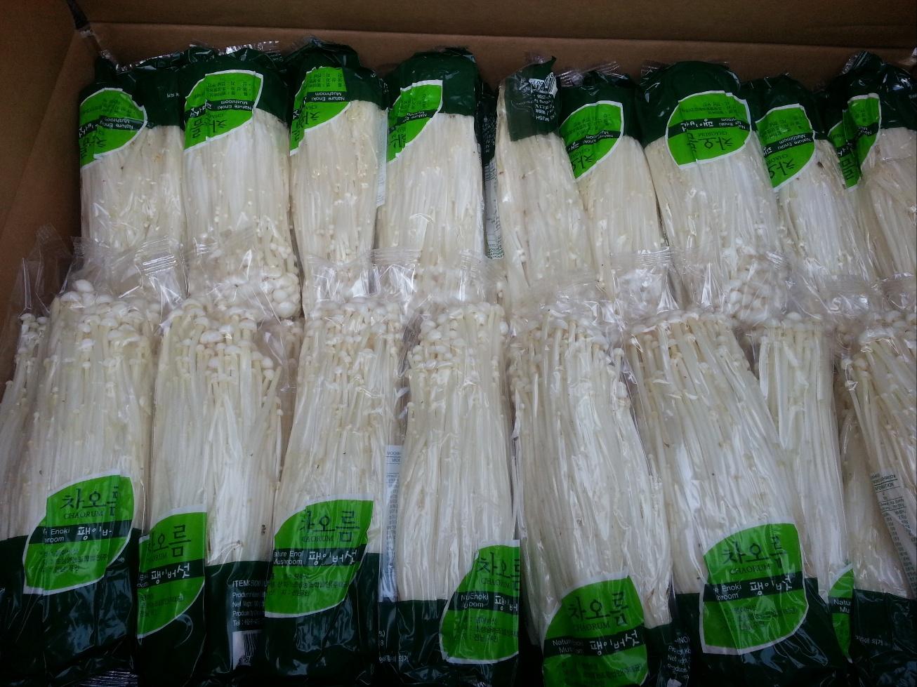 ENOKI MUSHROOM