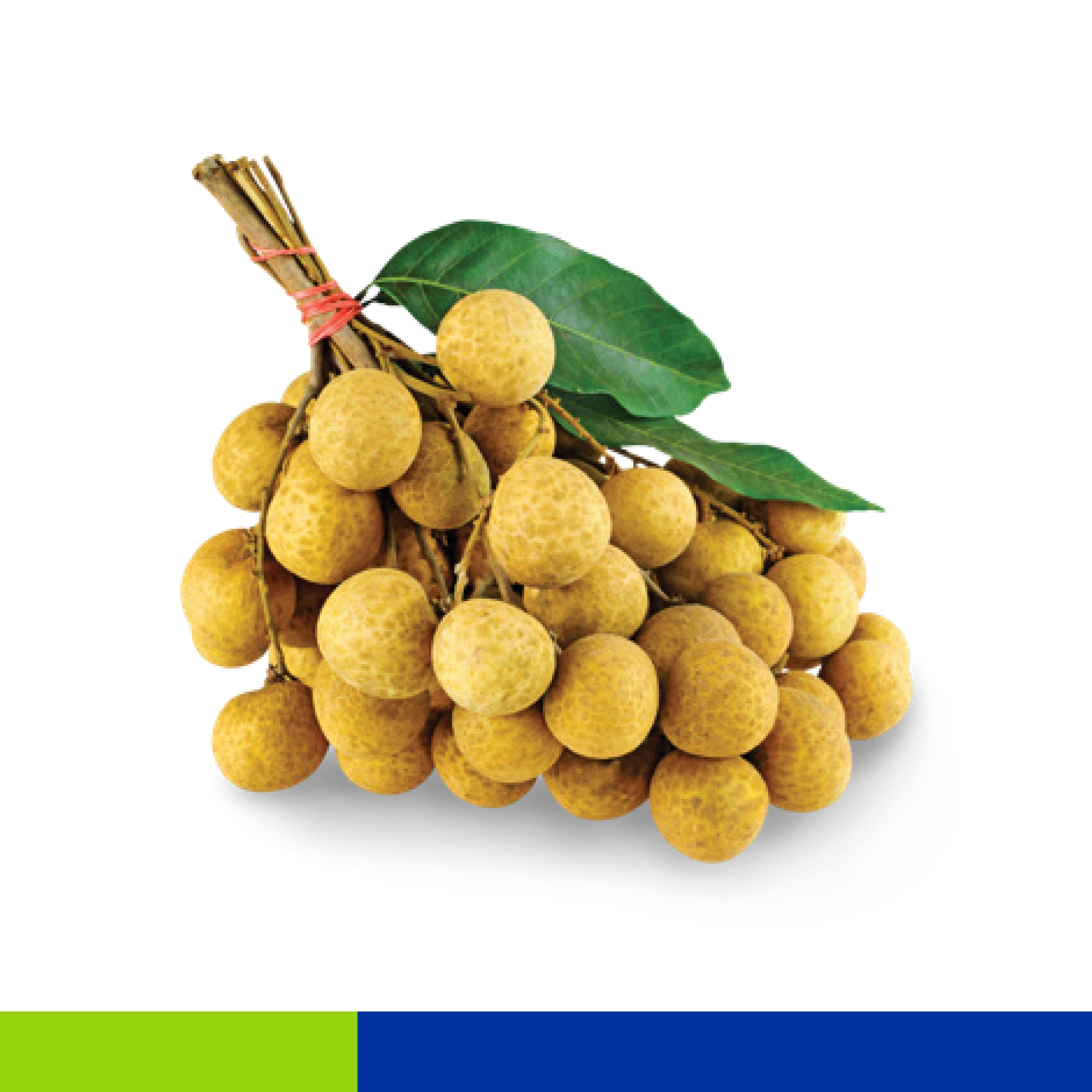 Longan