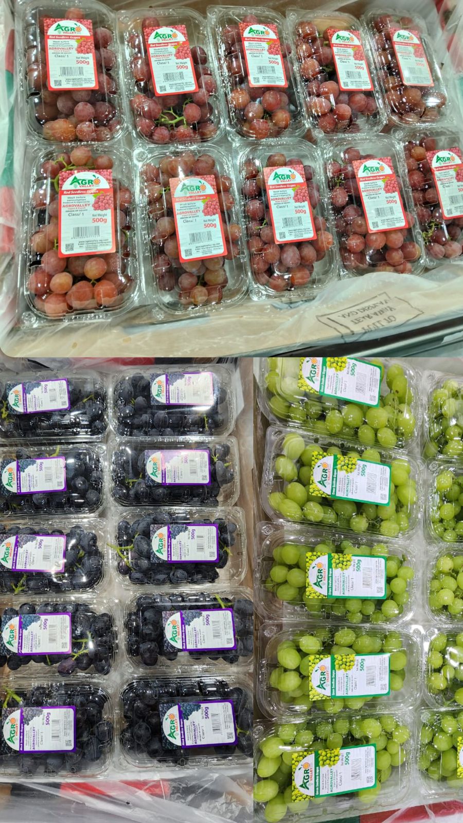 Fresh Grapes