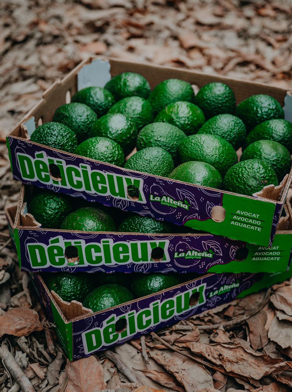 Avocado Délicieux by La Alteña
