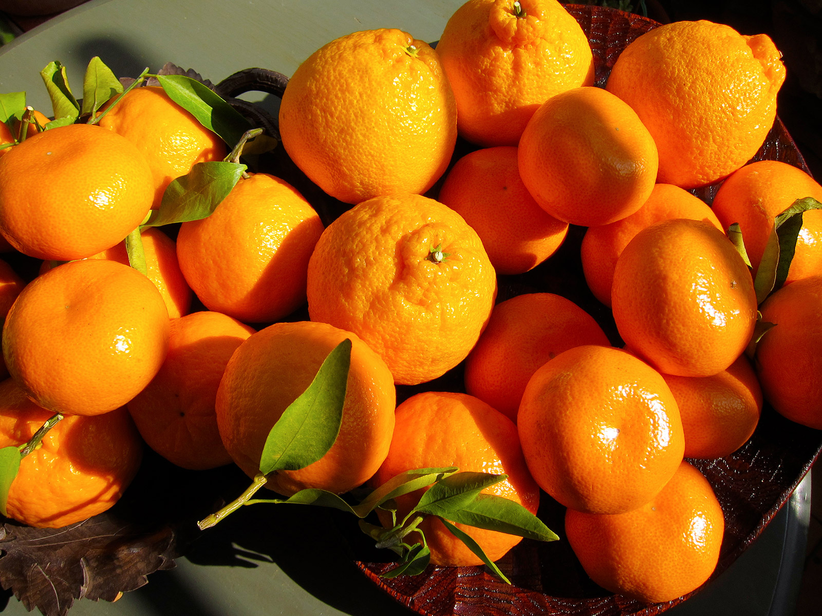 Turkish Citrus