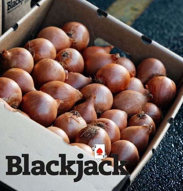 Blackjack Brown Onions