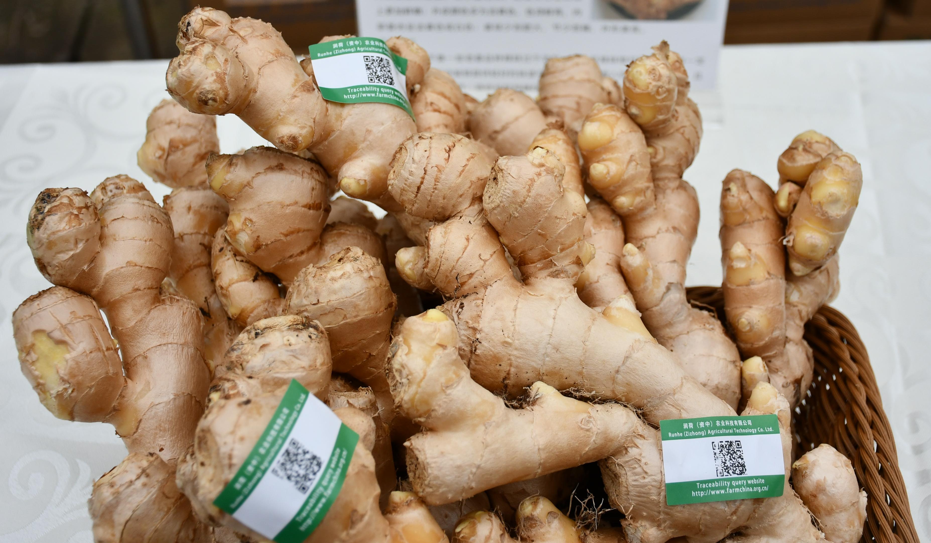 Ginger