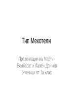 Тип Мекотели