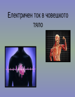 Електричен ток в човешкото тяло