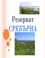 Резерват Сребърна