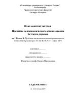 Проблеми на икономическата организация на Хетската държава