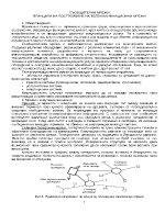 Събощителни мрежи