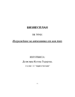 Бизнесплан за изграждане на автомивка от нов тип
