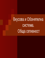 Вкусова и Обонятелна система Обща сетивност