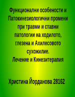 Кинезитерапия при увреди и дисфункции на глезенно-ходилния комплекс