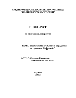 Проблемите в Житие и страдания на грешния Софроний