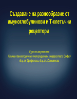 Създаване на разнообразие от имуноглобулинови и Т-клетъчни рецептори