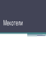 Тип мекотели