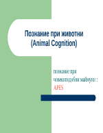 Познание при животни Animal Cognition