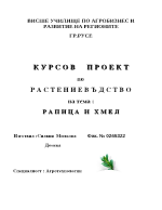 Технология за отглеждане на рапица и хмел с технологични таблици