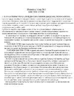 Бистри супи - характеристика предназначение видове технология