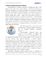 Анализ на рекламна кампания на кафе Лаваца