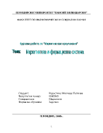 Маркетингова информационна система