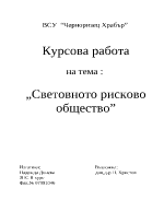 Световно рисково общество