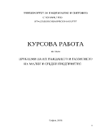 Проблеми в изграждането и развитието на малки и средни предпирятия