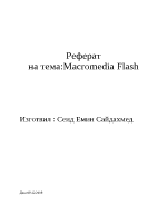 Macromedia Flash