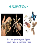 Клас насекоми