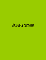 Маслена система