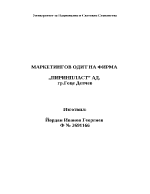 Маркетингов одит на фирма