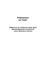 Бунтът на масите - Хосе Ортега и Гасет