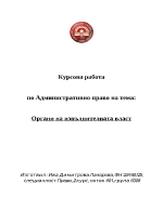 Органи на изпълнителната власт