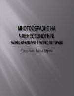 Разред Бръмбари и разред Пеперуди