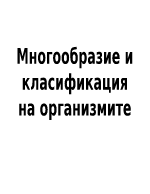 Класификация и многообразие на организмите