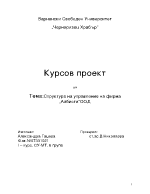 Структура на управление на фирма Албиста ООД