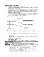 Заетост и Безработица