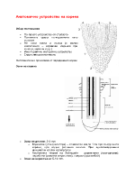 Анатомия на корена