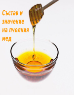 Значение и състав на пчелния мед