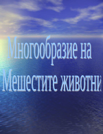 Многообразие на мешестите животни