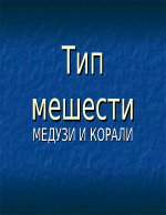 Тип мешести