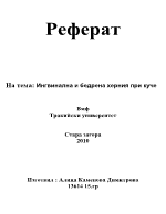 Ингвинална и бедрена херния при кучето