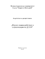 Игрово взаимодействие и социализация на деца със СОП