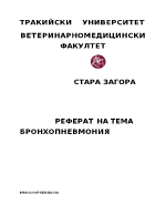 Бронхопневмония