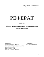 Място на мотивацията в структурата на личността