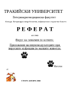 Вирусна левкемия по котките Приложение на имуномодулаторите при вирусните инфекции по малките животни