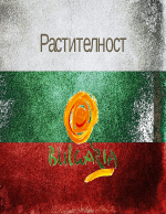 Растителност