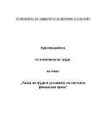 Пазар на труда в условия на световна финансова криза