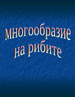 Многообразие на рибите