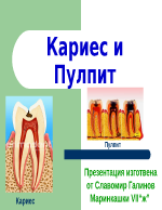 Кариес и пулпит